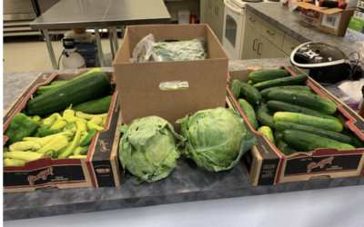 OLEY VALLEY SUMMER FFA PROGRAM KEEPS STUDENTS LEARNING